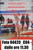 04420_C04-dalle-ore-11.30