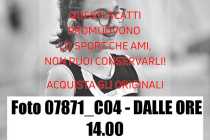 07871_C04-DALLE-ORE-14.00