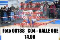 08188_C04-DALLE-ORE-14.00