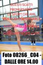 08266_C04-DALLE-ORE-14.00