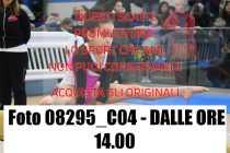 08295_C04-DALLE-ORE-14.00