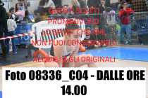 08336_C04-DALLE-ORE-14.00