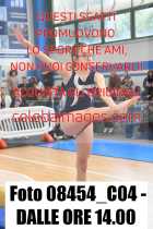 08454_C04-DALLE-ORE-14.00