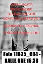 11635_C04-DALLE-ORE-16.30