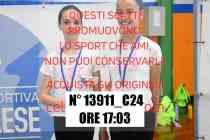 13911_C24