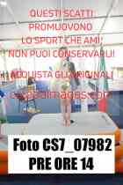 CS7_07982-PRE-ORE-14