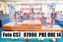 CS7_07986-PRE-ORE-14