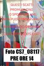 CS7_08117-PRE-ORE-14