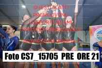 CS7_15705-PRE-ORE-21