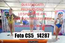 CS5_14287-