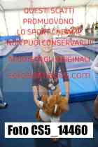 CS5_14460-