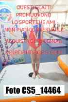 CS5_14464-