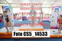 CS5_14533-