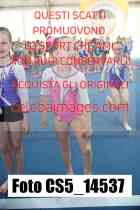 CS5_14537-