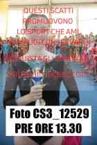 CS3_12529-PRE-ORE-13.30
