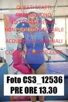 CS3_12536-PRE-ORE-13.30