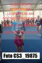 CS3_19875-