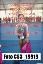 CS3_19919-