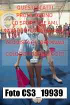 CS3_19939-