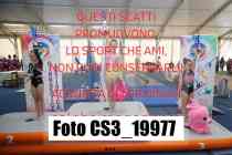 CS3_19977-