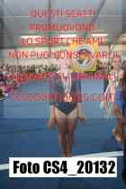 CS4_20132