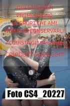 CS4_20227