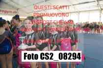 CS2_08294