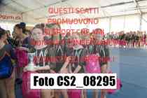 CS2_08295