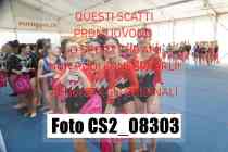 CS2_08303