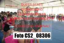 CS2_08306