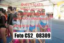 CS2_08309