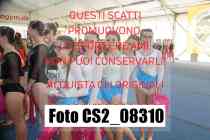 CS2_08310