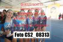 CS2_08313