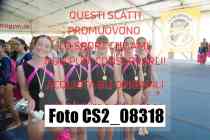 CS2_08318