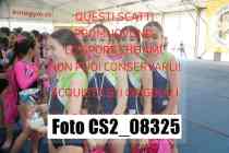 CS2_08325