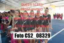 CS2_08329