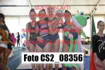 CS2_08356