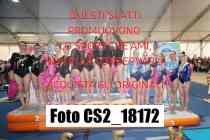 CS2_18172-