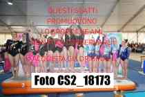 CS2_18173-
