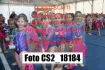 CS2_18184-