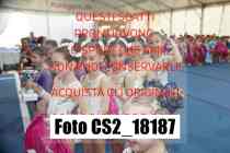 CS2_18187-