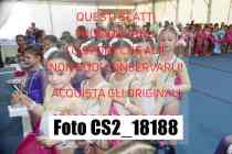 CS2_18188-
