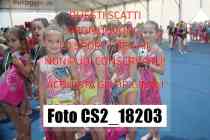 CS2_18203-