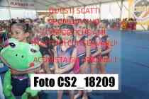 CS2_18209-