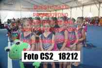 CS2_18212-