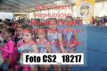 CS2_18217-