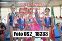CS2_18233-