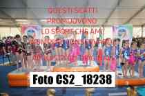 CS2_18238-
