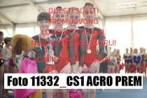 11332_CS1-ACRO-PREM