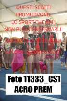 11333_CS1-ACRO-PREM